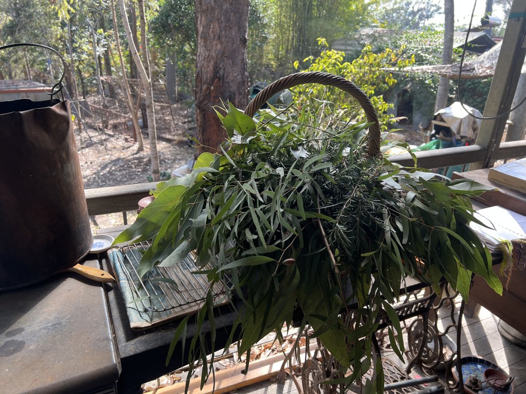 Unforgettable Eco-dying day